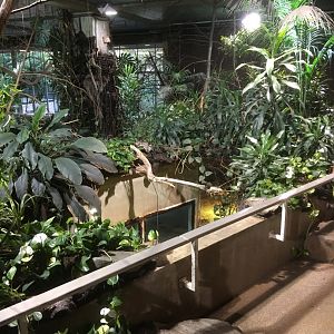 Where the manatee once swam