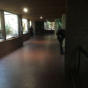 Interior small mammal house