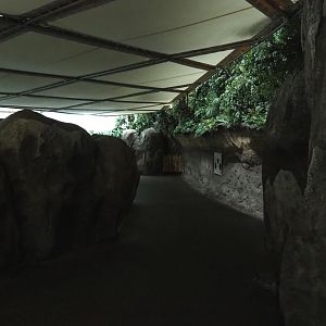 Pathway in Burgers' Ocean (Sep 16th, 2018)