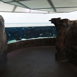Burgers' Ocean - Pathway and view towards second lagoon tank (Sep 16th, 2018)