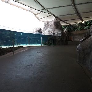 Burgers' Ocean - Viewing area for first lagoon tank (Sep 16th, 2018)