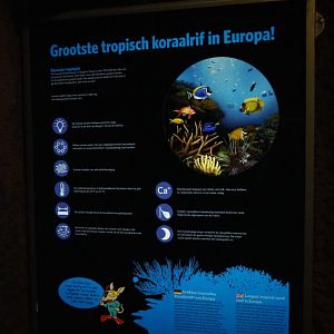 Largest living coral reef tank in Europe sign (Sep 16th, 2018)
