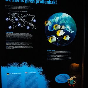 The sea is not a garbage can sign (Sep 16th, 2018)