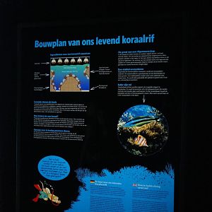 How to build a living reef sign (Sep 16th, 2018)