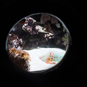 Small tank (Sep 16th, 2018)