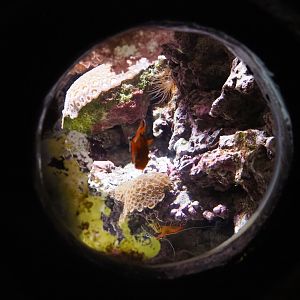 Small tank (Sep 16th, 2018)