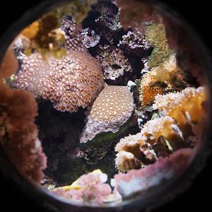 Small tank (Sep 16th, 2018)