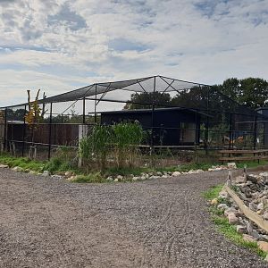 Crane - Gull - Pheasant aviary