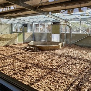 Capybara - Tapir indoor enclosure