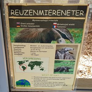 Sign Giant anteater