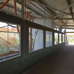 Parrot ( at the front ) and Coati-enclosure