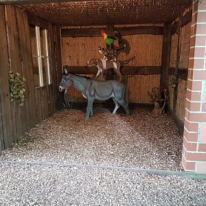 Famous German fairy-tale