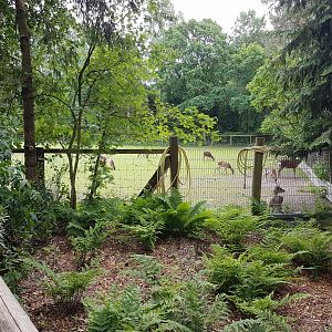Deer-enclosure