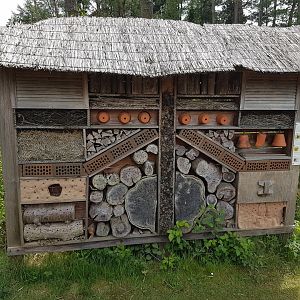 Large insect-hotel