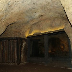 View towards Seba's short-tailed bat cave [2012]