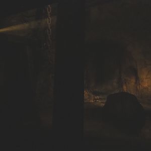 Seba's short-tailed bat cave (Sep 16th, 2018)