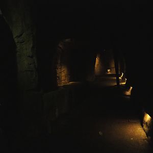 Tunnel from the Bush to the Desert (Sep 16th, 2018)