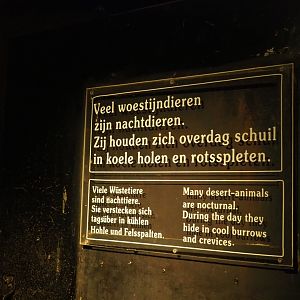 Nocturnal desert animals sign (Sep 16th, 2018)