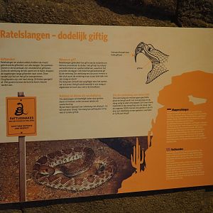 Sign about rattlesnake and their venom (Sep 16th, 2018)