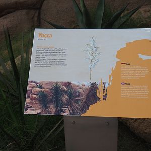 Sign about yucca plants (Sep 16th, 2018)
