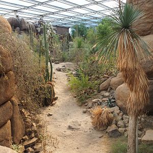 View into the Desert (Sep 16th, 2018)