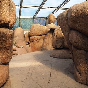 Rock valley pathway in the Desert (Sep 16th, 2018)