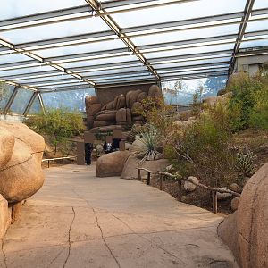 Pathway towards greater roadrunner aviary