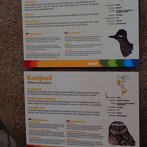 Sign greater roadrunner and burrowing owl (Sep 16th, 2018)