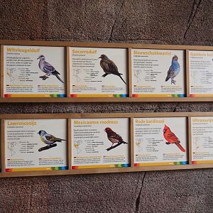 Free-ranging bird species in the Desert signs (Sep 16th, 2018)