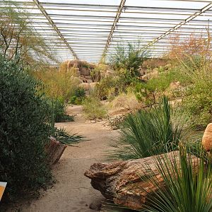 Desert landscape (Sep 16th, 2018)