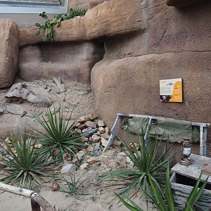 Fossil excavation site (Sep 16th, 2018)