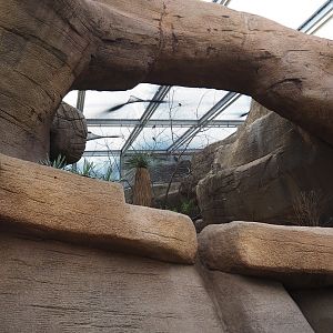 Rock arch outside canyon aviary (Sep 16th, 2018)