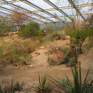 Desert landscape (Sep 16th, 2018)