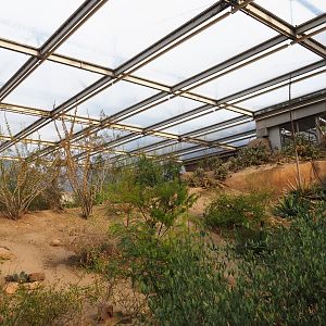 Desert landscape (Sep 16th, 2018)