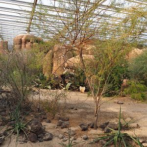 Desert landscape (Sep 16th, 2018)