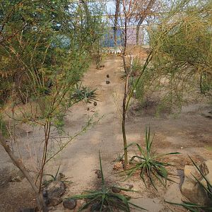 Desert landscape (Se6 16th, 2018)