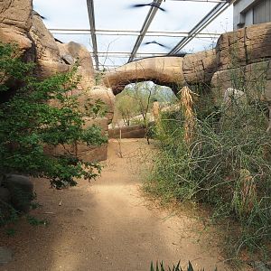 Canyon aviary (Sep 16th, 2018)