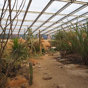 Desert landscape (Sep 16th, 2018)