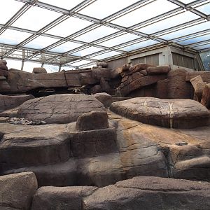 California bighorn sheep exhibit (Sep 16th, 2018)