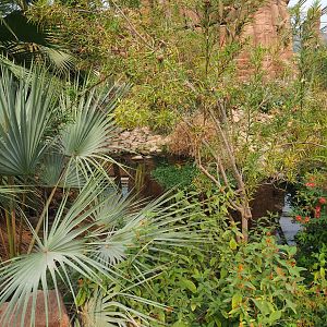 Desert oasis (Sep 16th, 2018)