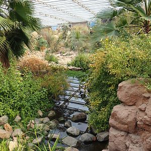 Desert oasis (Sep 16th, 2018)