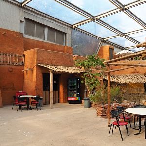 Desert restaurant and terrace area (Sep 16th, 2018)