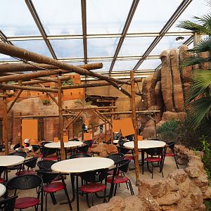 Desert restaurant and terrace area (Sep 16th, 2018)
