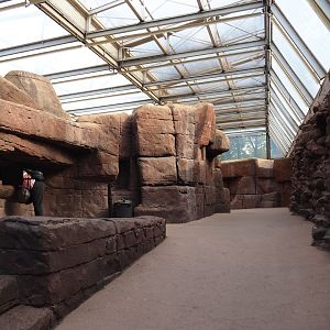Pathway and California bighorn sheep viewing area (Sep 16th, 2018)