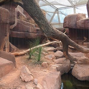 Bobcat canyon (Sep 16th, 2018)