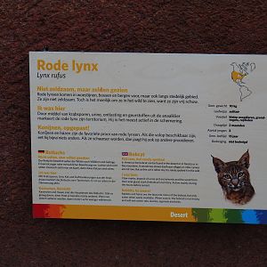 Sign bobcat (Sep 16th, 2018)