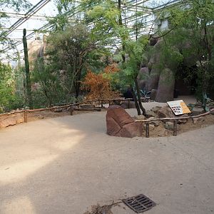 View of pathways in Desert (Sep 16th, 2018)