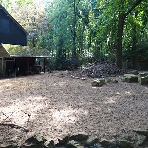 Eurasian forest reindeer exhibit (Sep 16th, 2018)