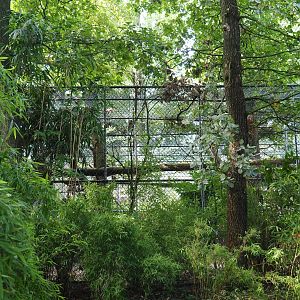 Behind-the-scenes second Sri Lankan leopard cage (Sep 16th, 2018)