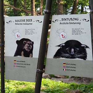 Malayan sun bear and binturong signs (Sep 16th, 2018)